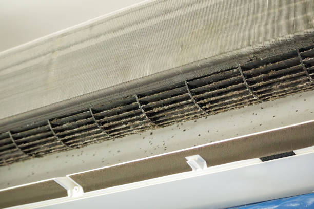 Best Affordable Air Duct Cleaning  in West Reading, PA